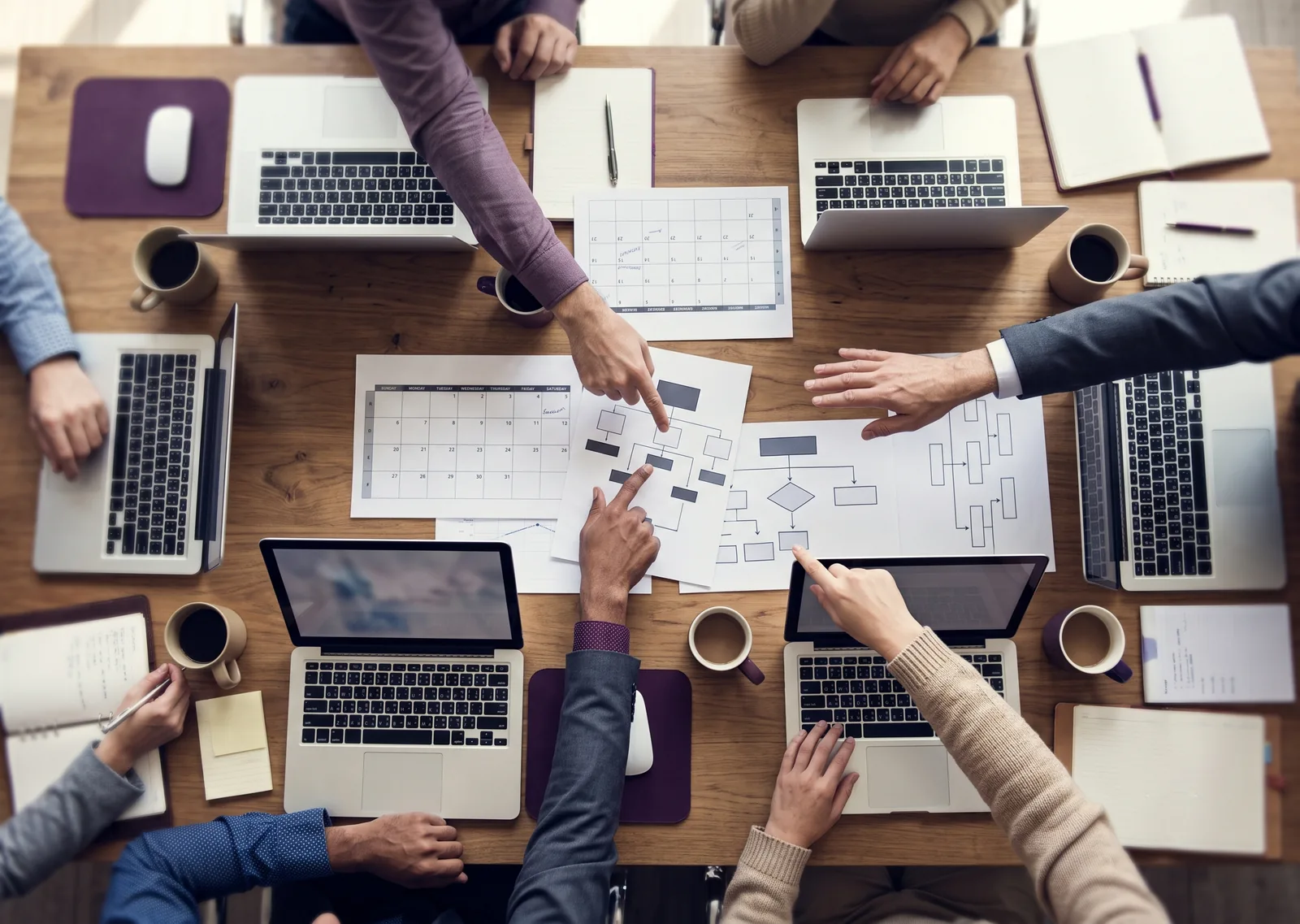 Coordinamento del team e degli stakeholder di un club sportivo - Knit